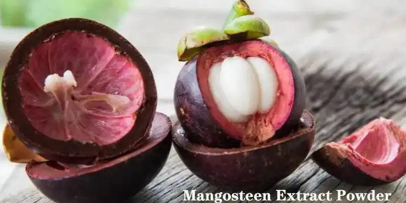 Mangosteen Extract Factory.jpg